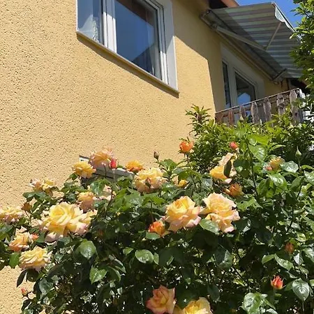 2-bedroom With Kitchen And Garden, Fast To Dusseldorf Messe Apartament Duisburg